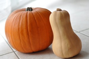 pumpkins_leaningtogether