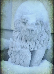 snowy_lion_landderabenteuerde